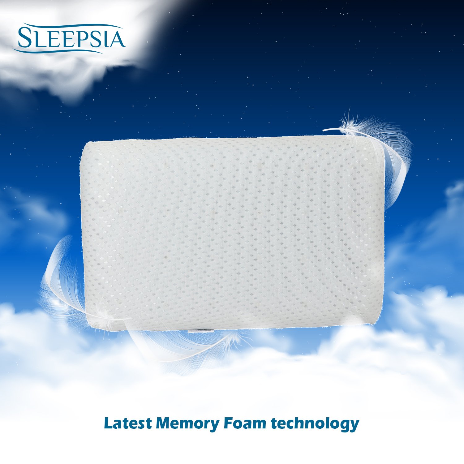 Memory foam Pillow