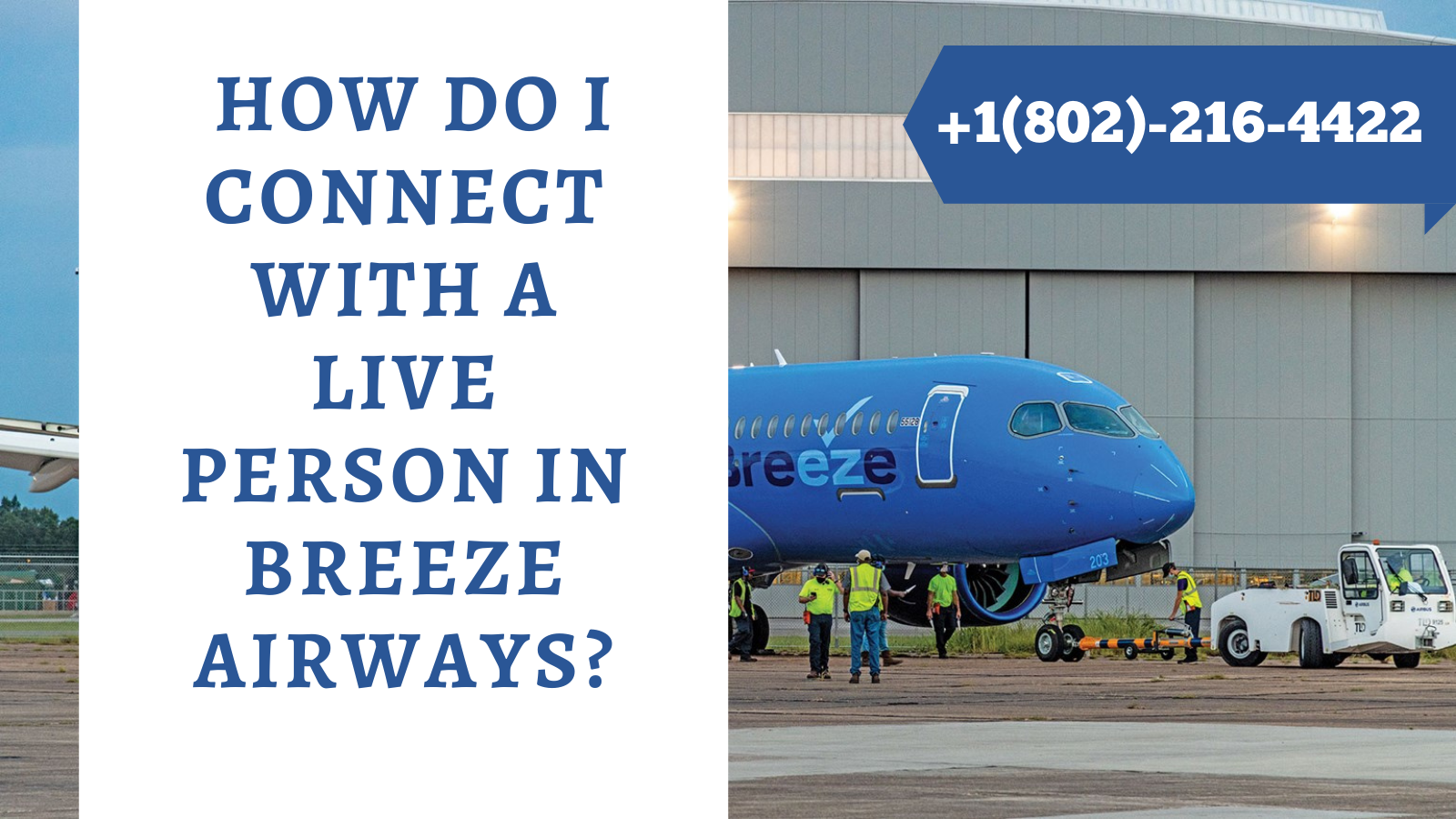 breeze airways customer service
